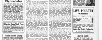 Image for Mother's Hens1